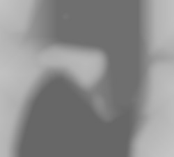 Member Image