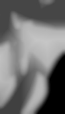Member Image