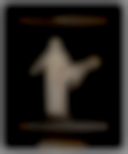 Member Image