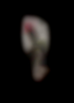 Member Image