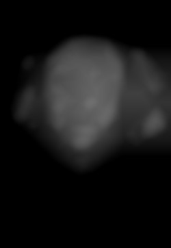 Member Image