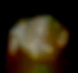 Member Image
