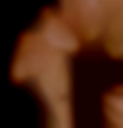 Member Image