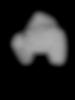 Member Image