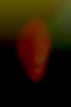 Member Image
