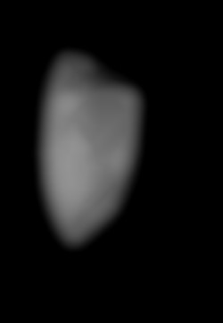 Member Image