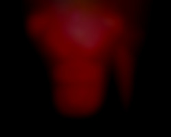 Member Image