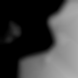 Member Image