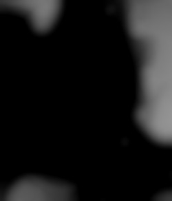 Member Image