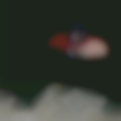 Member Image