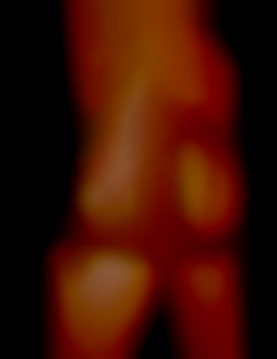 Member Image