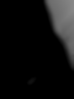 Member Image