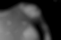 Member Image