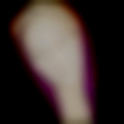 Member Image