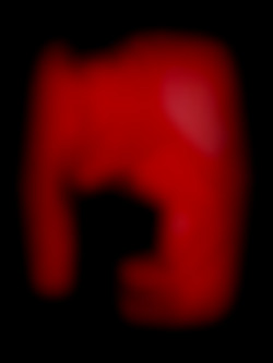 Member Image