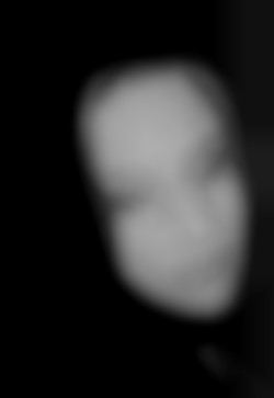 Member Image