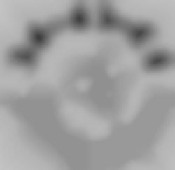 Member Image