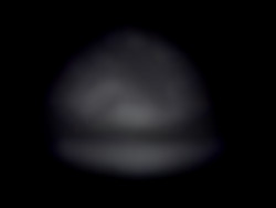 Member Image