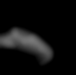 Member Image