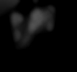 Member Image