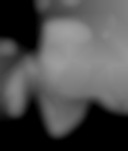 Member Image