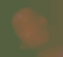 Member Image