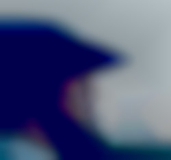 Member Image