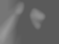 Member Image