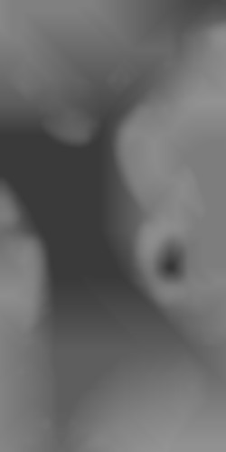 Member Image