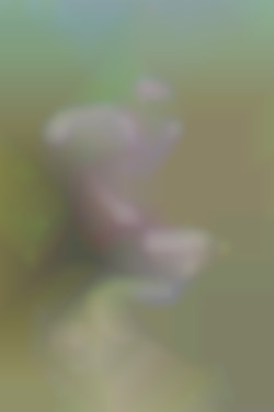 Member Image