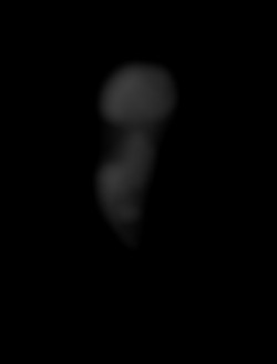 Member Image