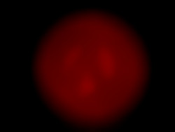 Member Image