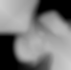 Member Image