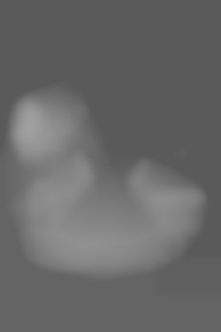Member Image