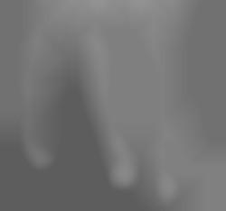 Member Image