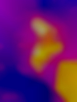 Member Image