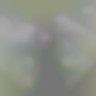 Steelatex