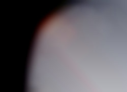 Member Image