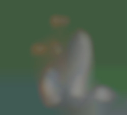 Member Image