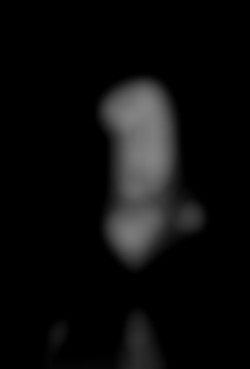Member Image