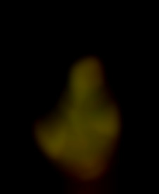Member Image