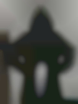 Member Image