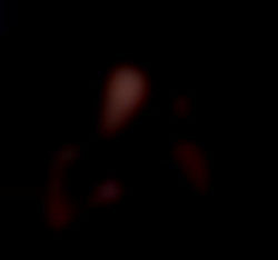 Member Image