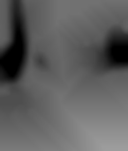 Member Image