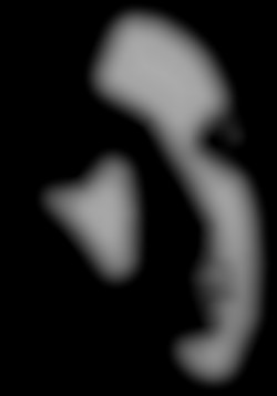 Member Image