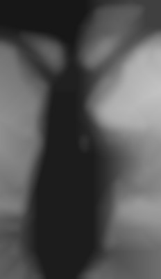 Member Image