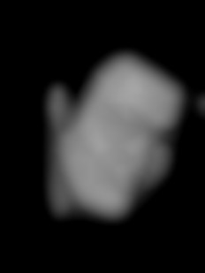 Member Image