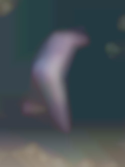 Member Image