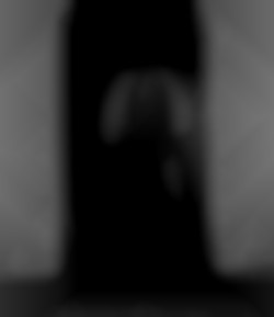Member Image
