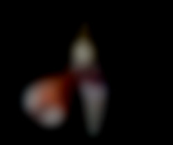 Member Image